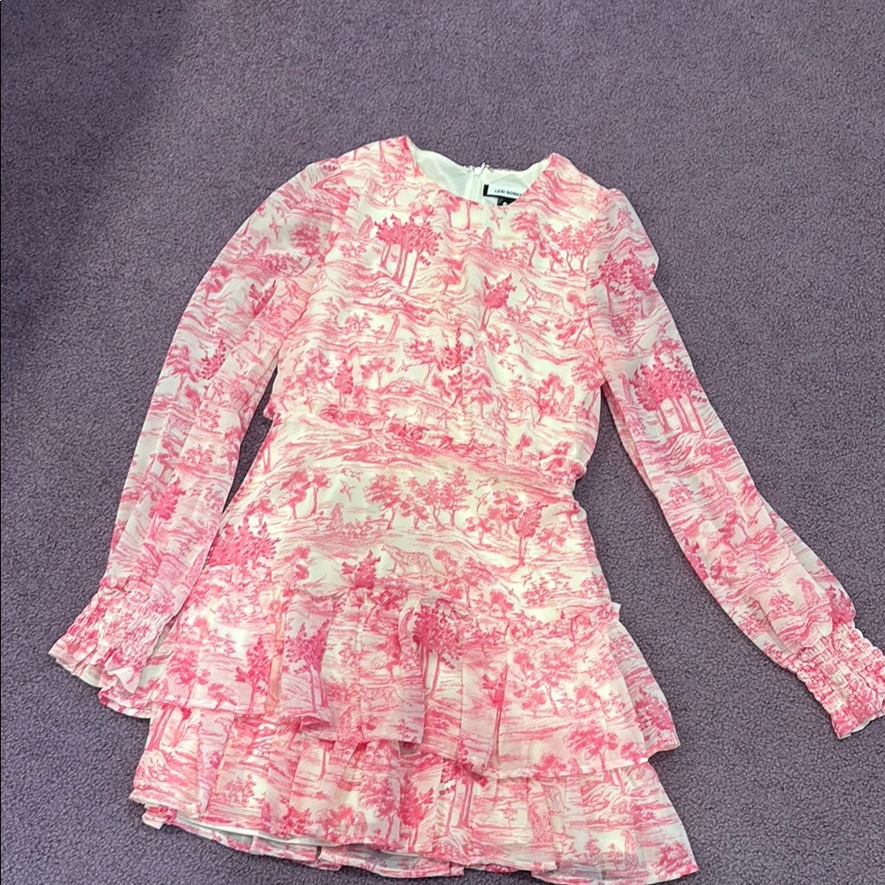 Aqua Pink Toile Ruffle Dress